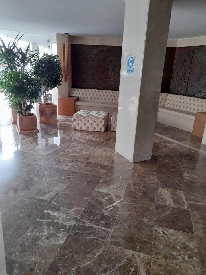 Palm *