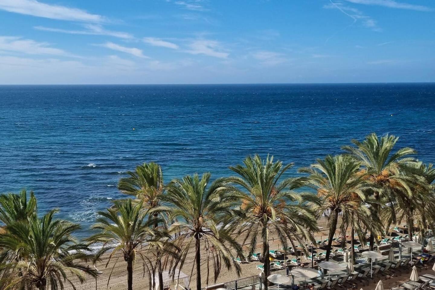 Palm * Marbella